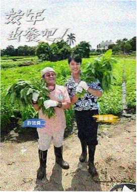 旅行综艺公路尽头海报